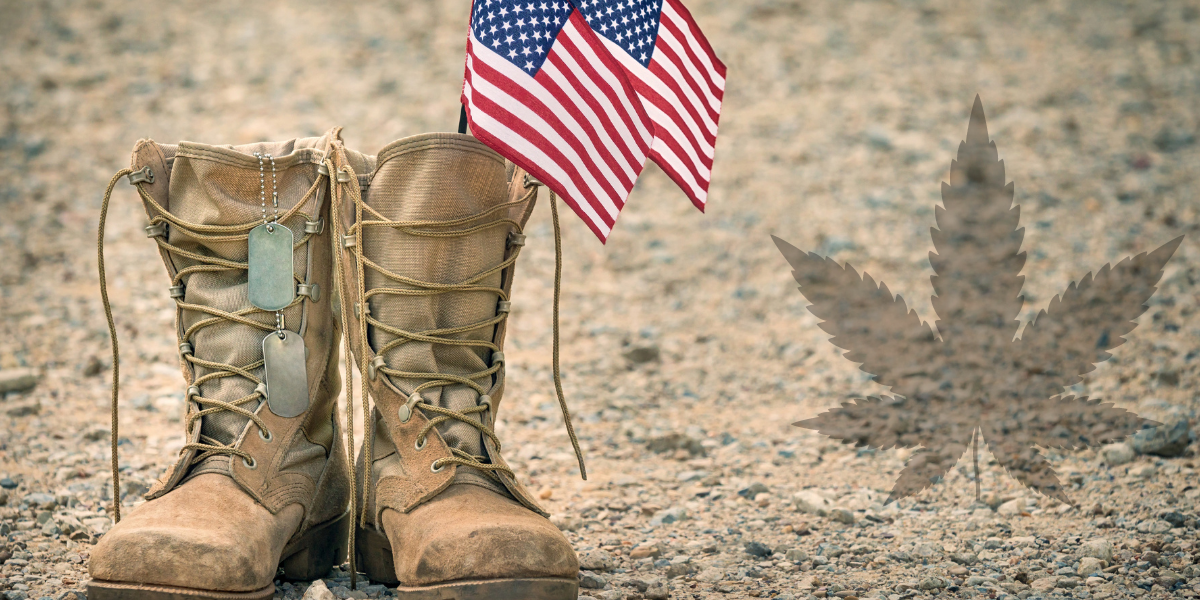 November 2020 VETERANS AND CANNABIS WATCH NOW LA NORML